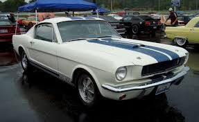 Shelby Gt Mustang Shelby Ford Mustang