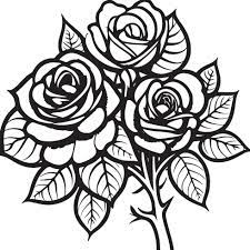 hand drawn roses sketch rose flowers