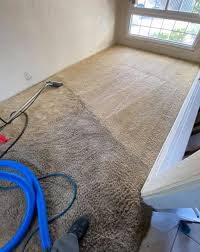 carpet cleaning kent