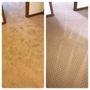 chaign illinois carpet cleaning