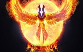 See more ideas about phoenix bird, real phoenix bird, phoenix bird tattoos. Phoenix Description History And Stories Mythology Net