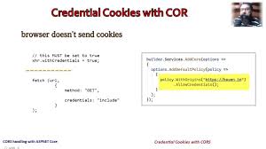 credential cookies with cross origin