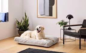 how to clean a dog bed saatva