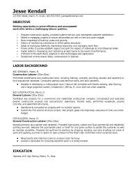 Examples Of Resumes   Resume Template Basic Objective Statement    