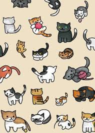 Cat Wallpaper And Cute Image Cat