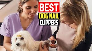 top 5 best dog nail clippers of 2023