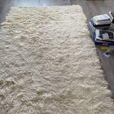oriental rug carpet cleaning 6004