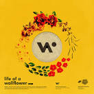 Life of a Wallflower, Vol. 1