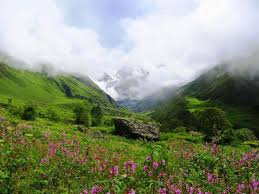 natural landscapes in india