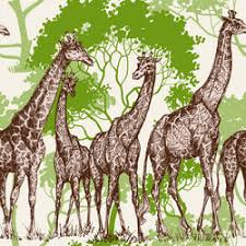 giraffe wallpaper vector images over 6