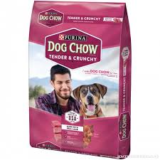 Purina Dog Chow Healthy Morsels Dog Food Bonus Size 18 Lb