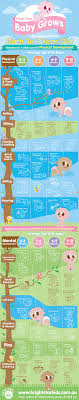Here Is Fun And Interesting Infographic About Baby