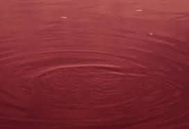 血の海の水の表面のクローズ アップ の写真素材・画像素材 Image 36635054.