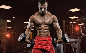 body building t foods to eat and
