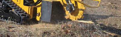 As with most heavy, powerful equipment, the chance for injury is high. Why Diy Stump Removal Is Not A Good Idea