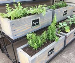 herb gardening containers selecting