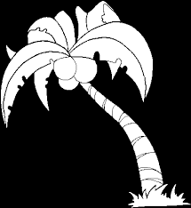 Collection of coconut tree coloring page (11) top of coconut tree coloring page coconut tree clipart black and white Printable Drawings And Coloring Pages Coconut Tree White Png 600x470 Png Clipart Download