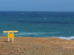 In this region the wind is so. Tag 29 Catlins Slope Point Der Sudpol Ist Naher Als Der Aquator Vakantio