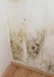 ma restoration inc four mold removal