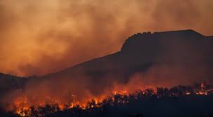 W turcji w rejonie miasta manavgat wybuchł pożar lasu. Cypr Pozar Szalejacy U Podnoza Troodos Jest Najwiekszy Od Co Najmniej Od 20 Lat Rynki Zagraniczne