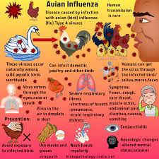 Avian flu, or bird flu, refers to a group of diseases that result from infections with specific influenza viruses. 29 Disease Ideas In 2021 Pathology Disease Infectious Disease