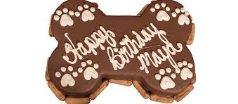Download the free petsmart mobile app today & access your digital card, book services, get special offers & manage your account. Dog Birthday Cake Petsmart
