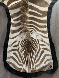authentic zebra in leather fur