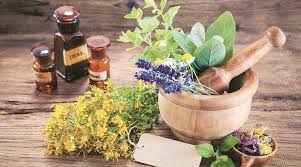 phytotherapy ile ilgili görsel sonucu