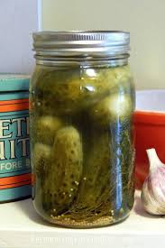 grandma s fermented dill pickles
