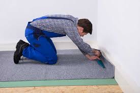 mold on carpet the risks of indoor mold