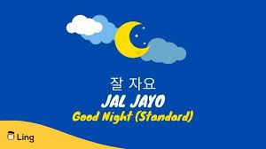 say good night in korean