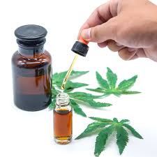 The plants generate many classes of chemical compounds. Will Taking Cbd Oil Help You Lose Weight Eatingwell