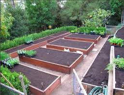 free vegetable garden layout plans and