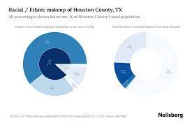 houston county tx potion by race