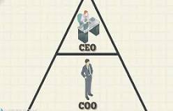 What does a COO do?