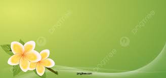 green flower background images hd