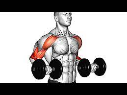 best bicep exercises you should be