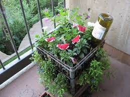 My Milkcrate Balcony Container Garden