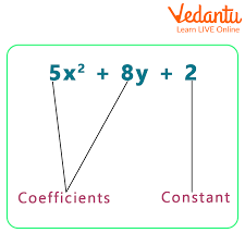 Coefficient Examples Learn And Solve