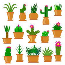Cactus And Succulent Flat Icon Set