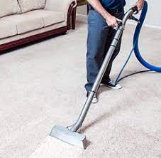 daisy carpet cleaners minneapolis mn