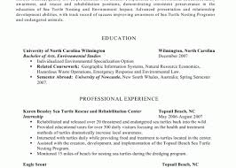 stay at home mom resume experienced      
