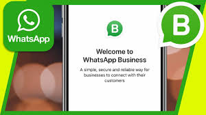 how to use whatsapp business app you