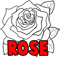 As with our other drawing tutorials, you can grab a printable. How To Draw Roses Opening In Full Bloom Step By Step Drawing Tutorial How To Draw Step By Step Drawing Tutorials