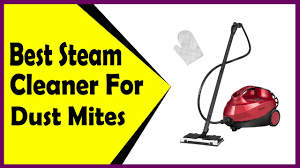 best steam cleaner for dust mites say