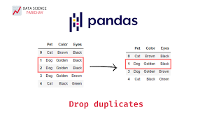 drop duplicates from a pandas dataframe