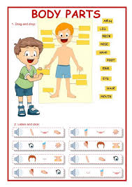 Grammar worksheets for grade 1. The Parts Of The Body Interactive And Downloadable Worksheet You Can Do The E English As A Second Language English Worksheets For Kids Kindergarten Worksheets