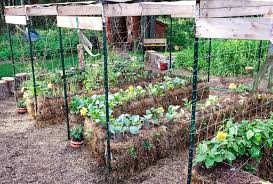 Straw Bale Gardening Edible Communities