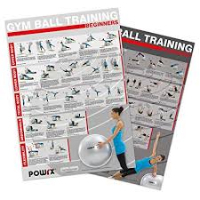 Exercise Ball Charts Set Of 2 Gym Ball Workout Yoga Ball Training