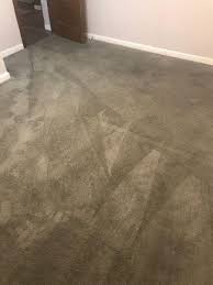 pet odor removal pristine carpet cleaning
